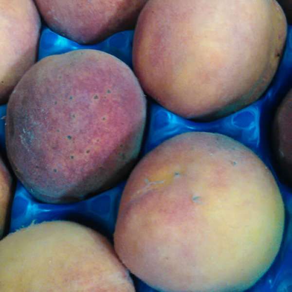 Pêssego Amarelo Bio