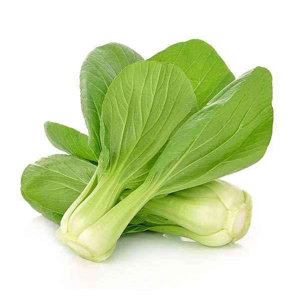 Couve Pak Choi Bio