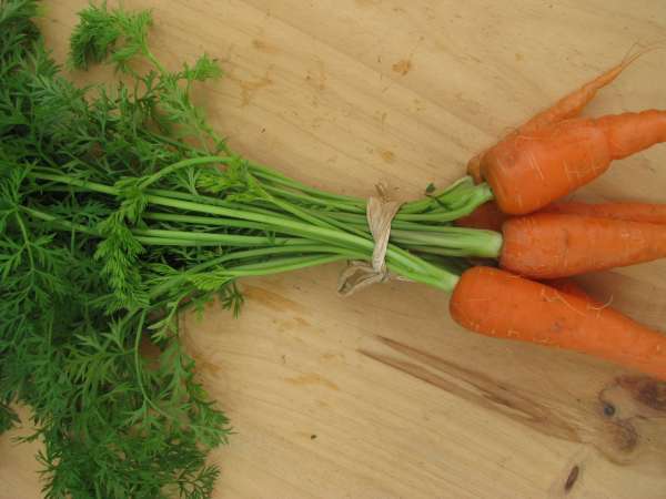 Cenoura com Rama Bio, molho 500g